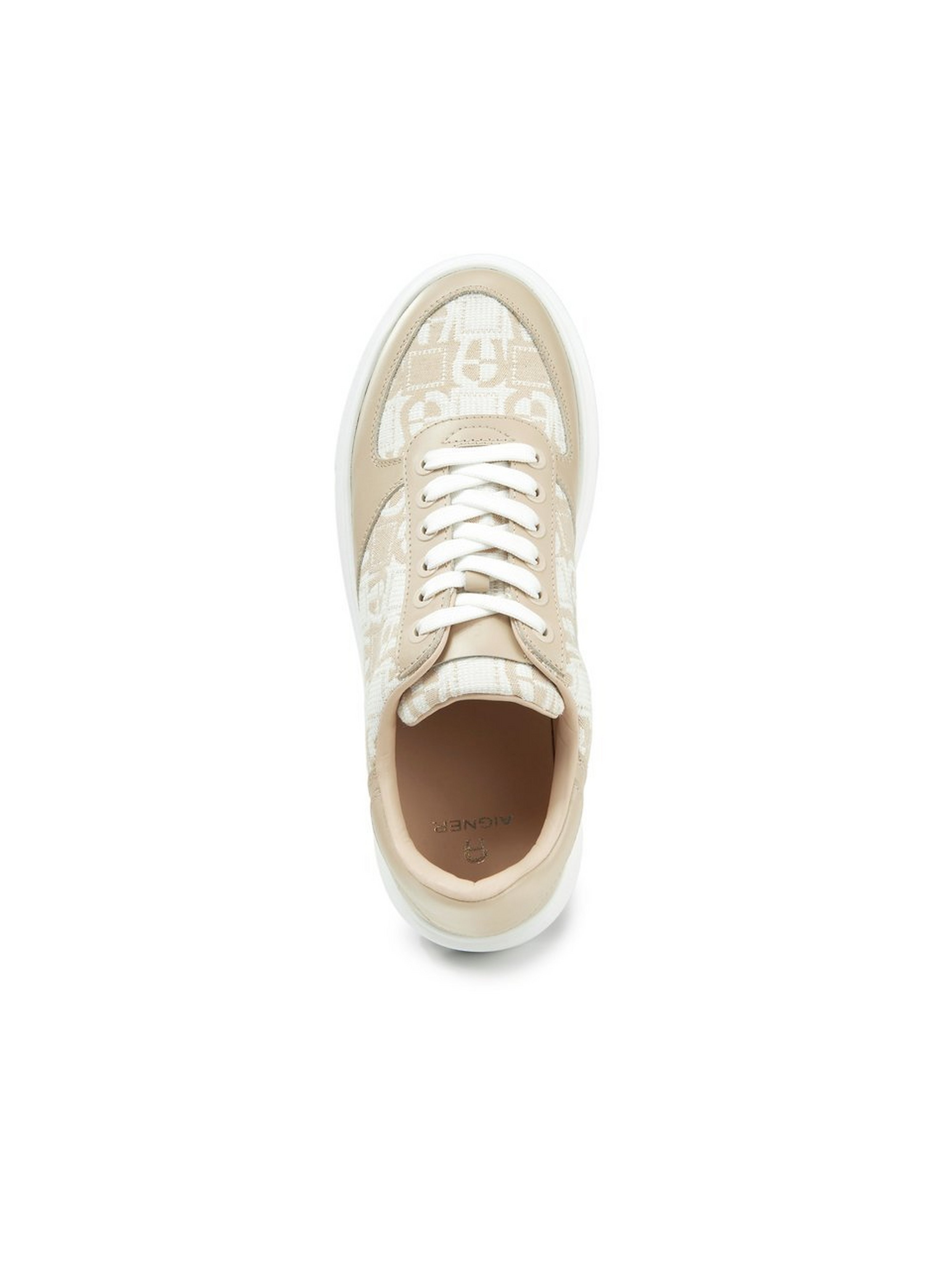 Sneaker Sally