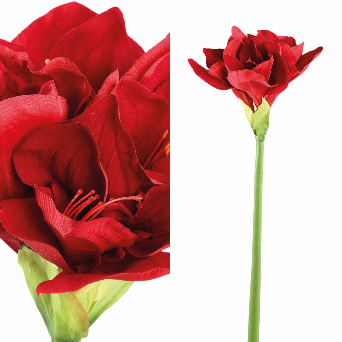 Ptmd branche artificielles amaryllis - 18x18x79 cm - plastique - rouge
