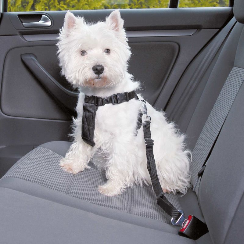 Harnais de sécurité Trixie pour chien
