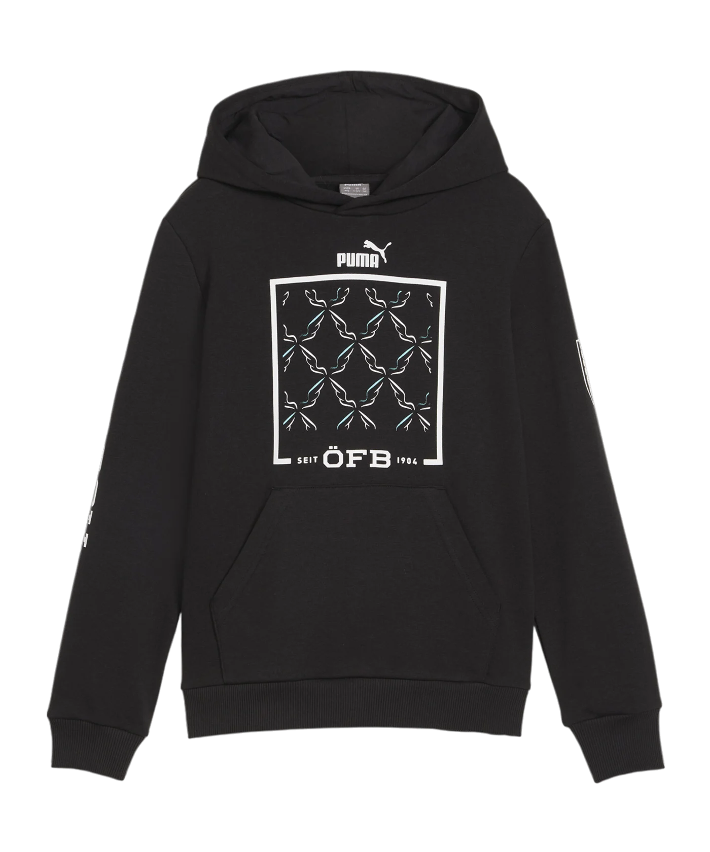 PUMA Österreich Ftbl Icons Hoody Kids Schwarz F08