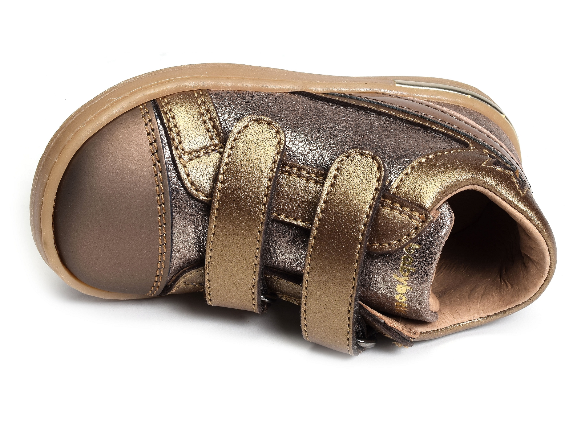 Astar velcro rose or