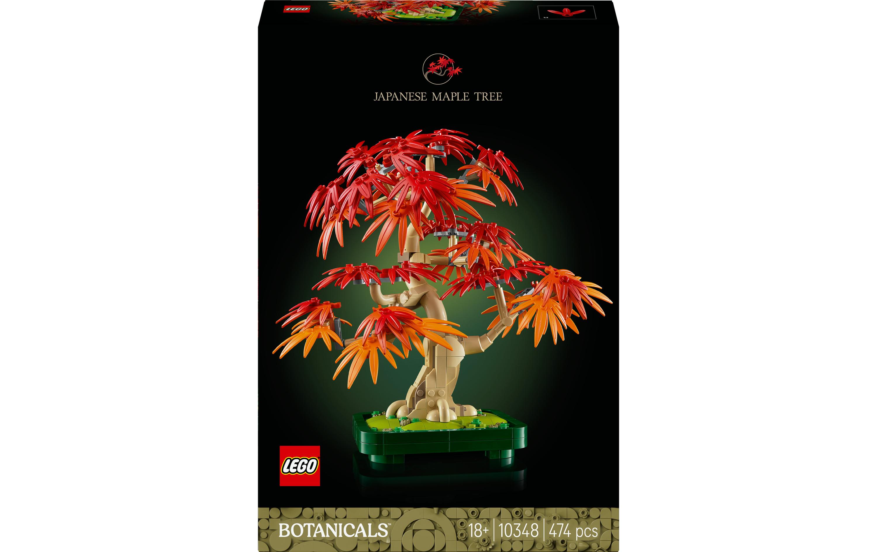 Icons Botanicals Japanischer Roter Ahorn Bonsai-Baum 10348Bauset für Erwachsene mit vielen authentischen Details