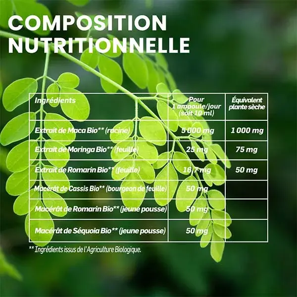 Santarome Orgânico - Moringa Maca Orgânica - Energia sem Cafeína - 20 ampolas