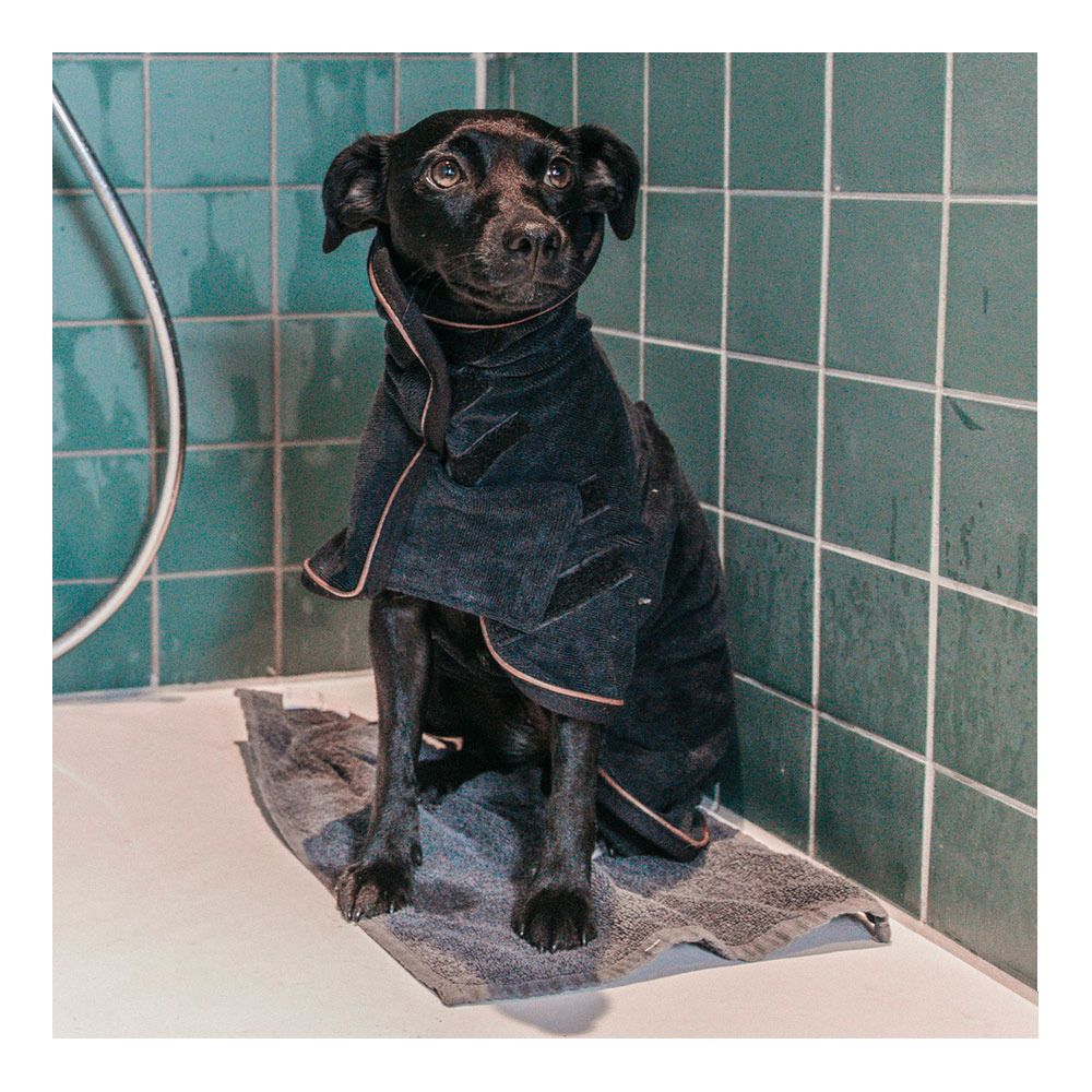 Kentucky 52126 - Manteau-serviette pour chien black