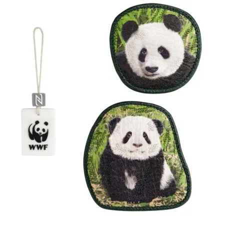 Step by Step MAGIC MAGS WWF, 