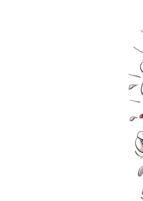 Doodles | Verjaardagskaart | kippen
