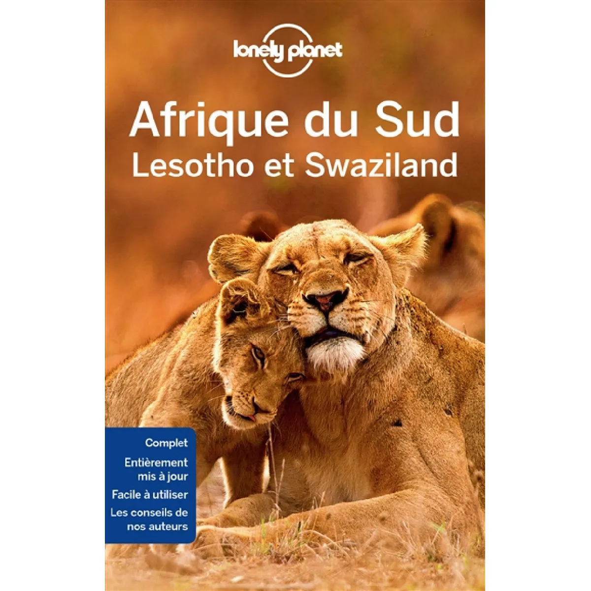 Afrique du Sud, Lesotho et Swaziland · Occasion