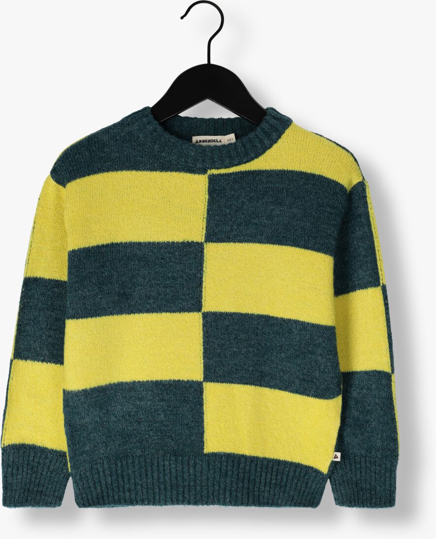AMMEHOELA groene ammehoela trui am.jumper.18