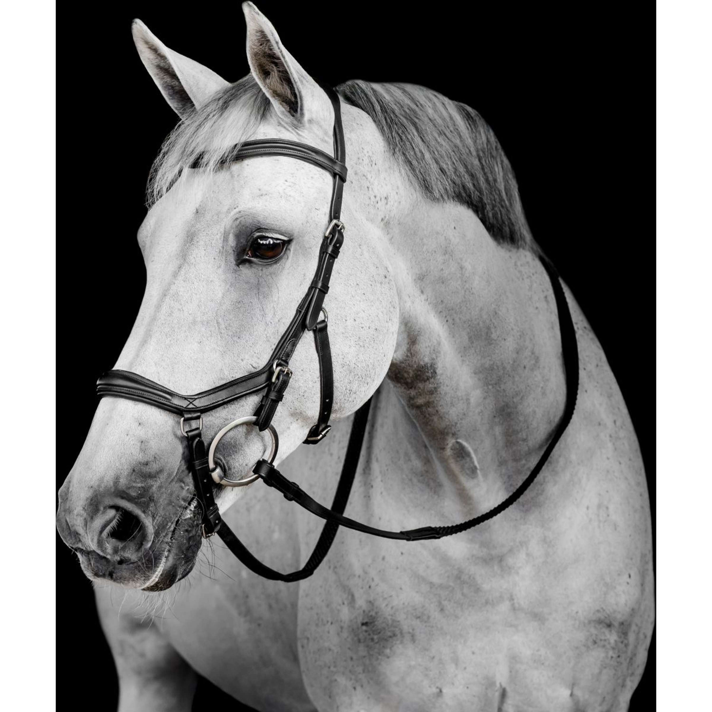 Horseware Micklem Deluxe Competition Bridle Zwart
