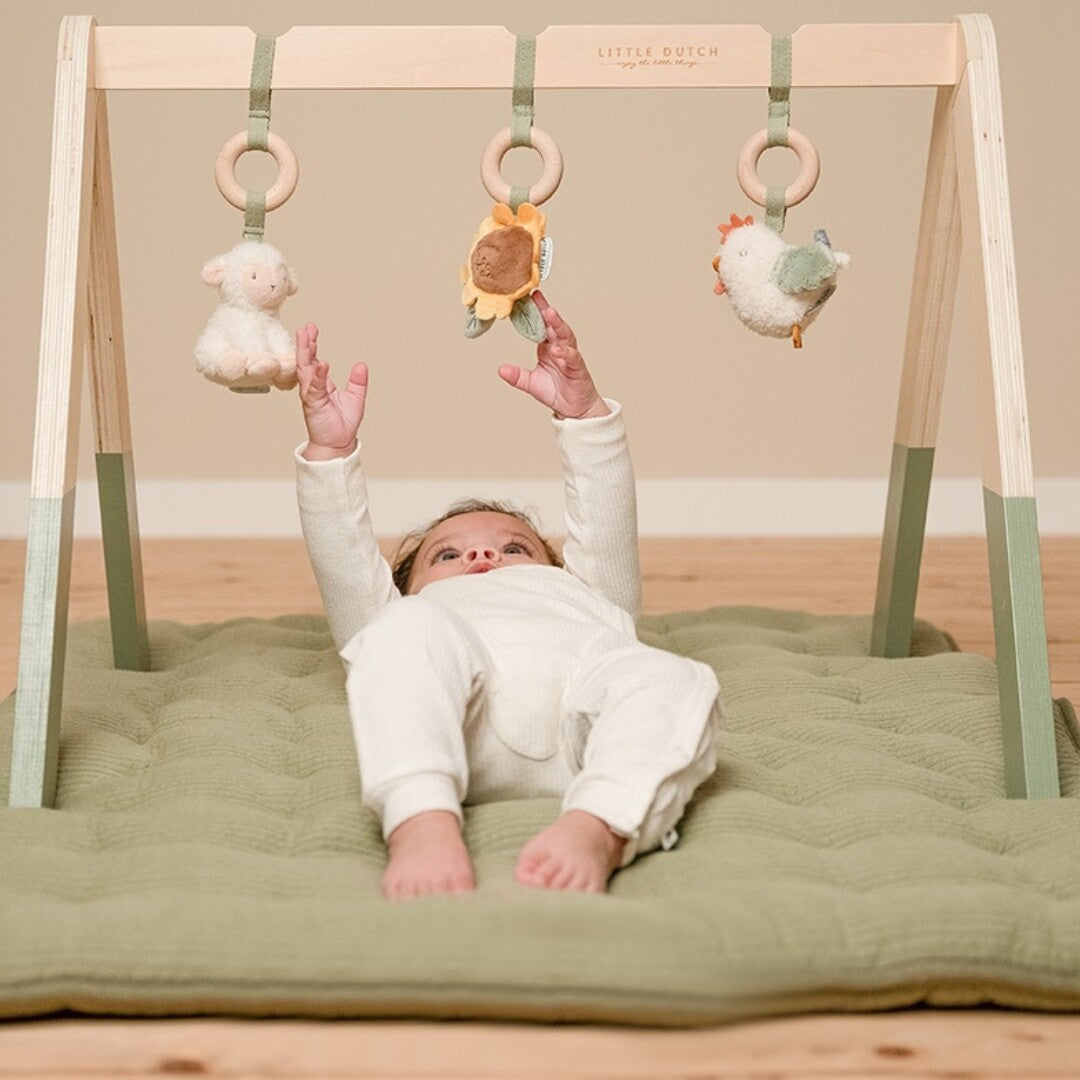 Little dutch babygym met speeltjes little farm