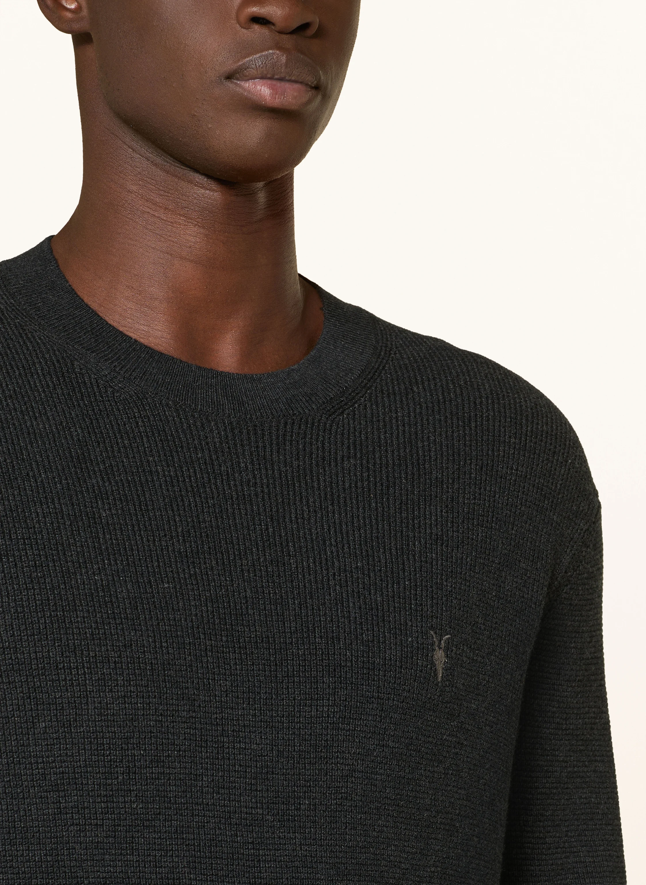 ALLSAINTS Pullover ASPEN