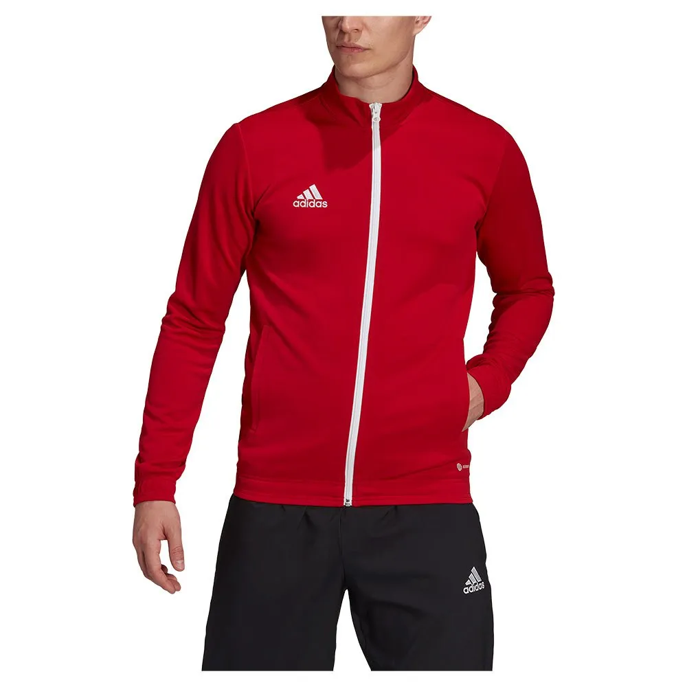 jaqueta adidas Entrada 22
