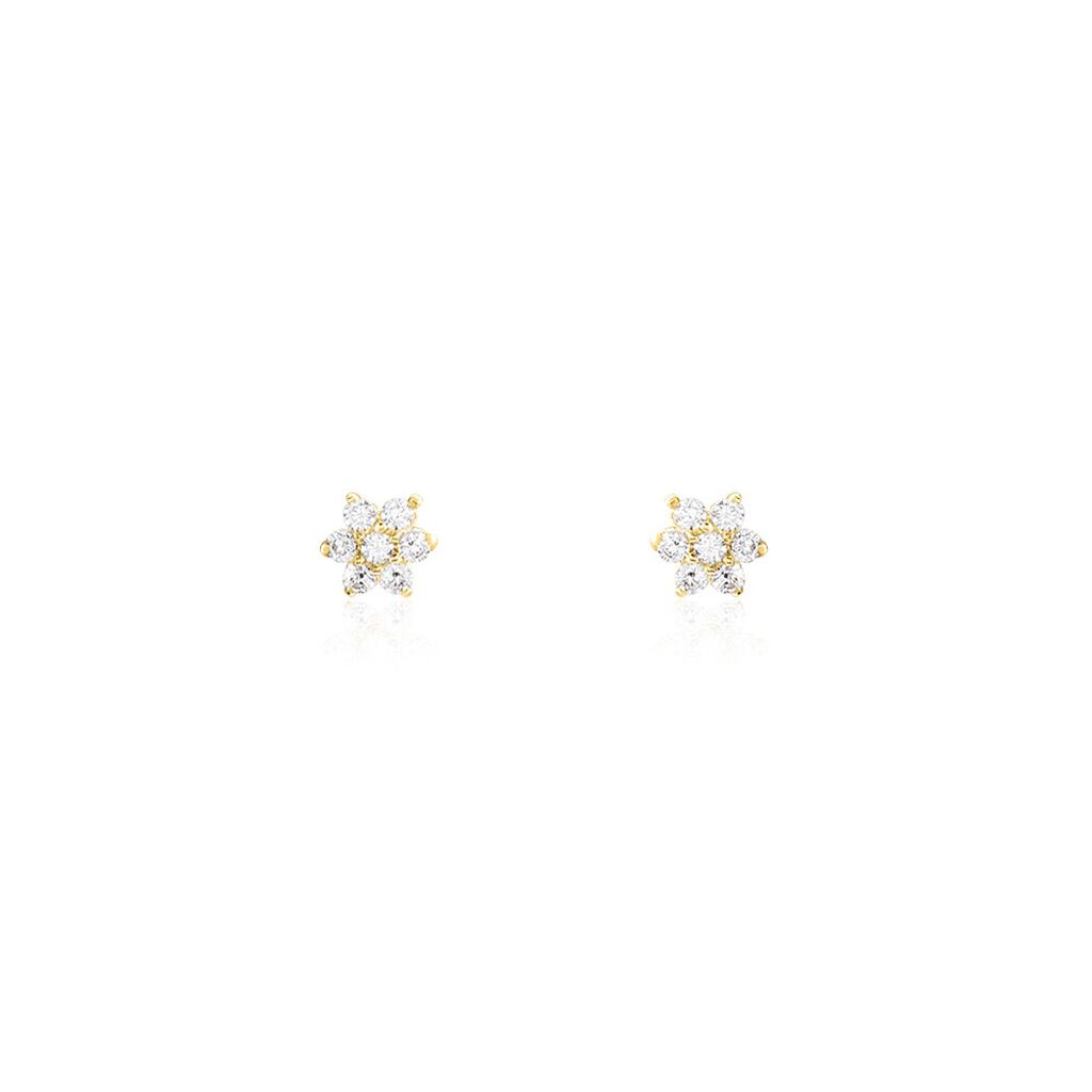 Boucles D'oreilles Puces Flovia Or Jaune Oxyde De Zirconium