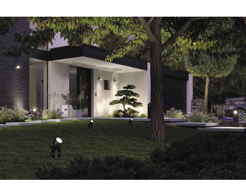 Paulmann Plug & Shine LED-spot met grondpen, enkele spot, IP44, 3W, 150 lm, 3000 K, zwart, 24 V