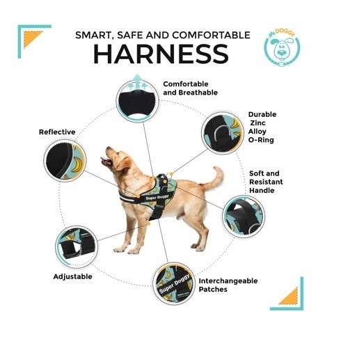 Coleira Super Doggy personalizada com estampa de banana na cor azul.