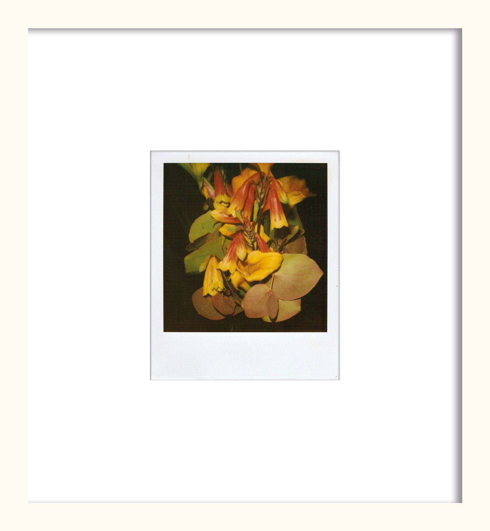 Flower by Nobuyoshi Araki - Unique Artwork