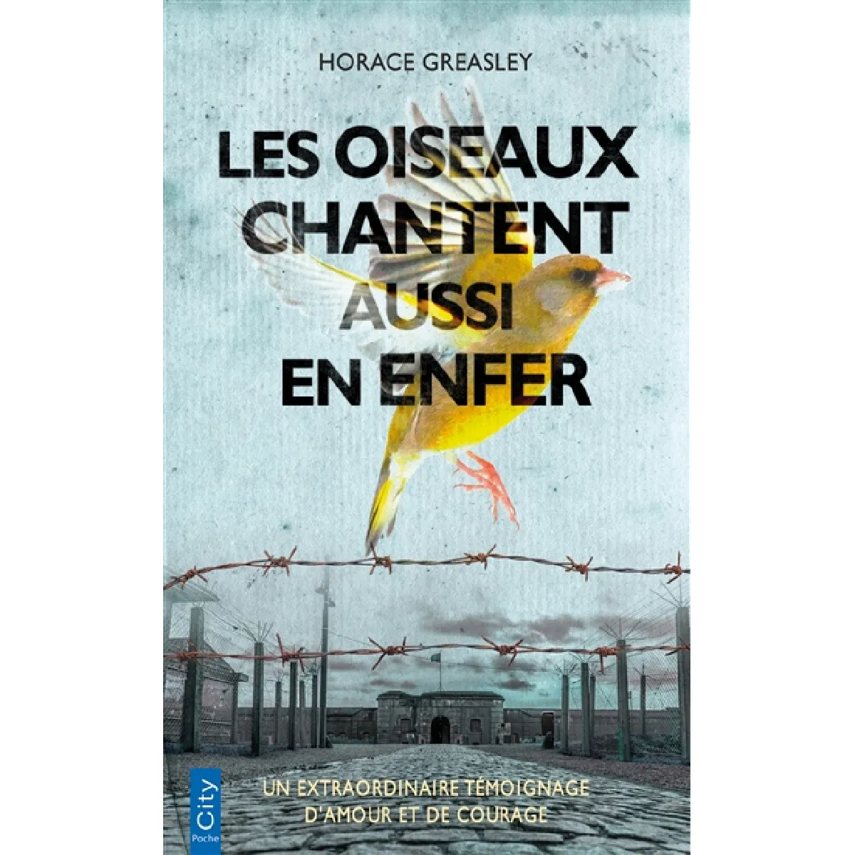 Les oiseaux chantent aussi en enfer · Occasion
