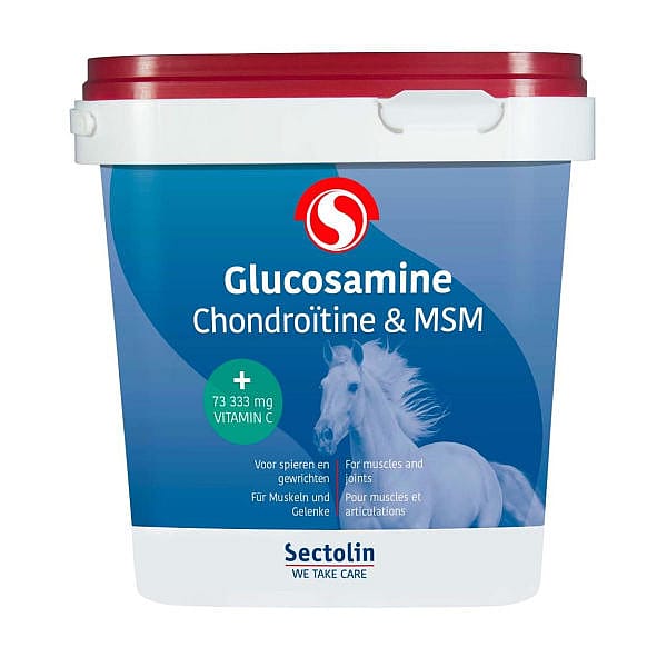Equivital Glucosamine Chondroitine MSM