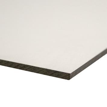 Compactplaat HPL wit 6 mm 244x122 cm weerbestendig