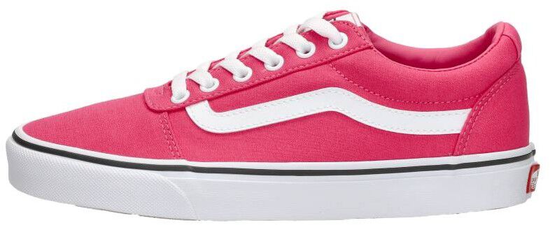 Vans Ward roze