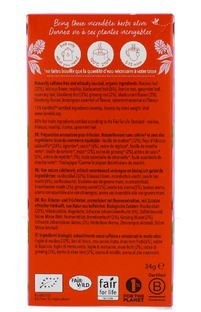 Pukka Thee Morning Berry 20ZK