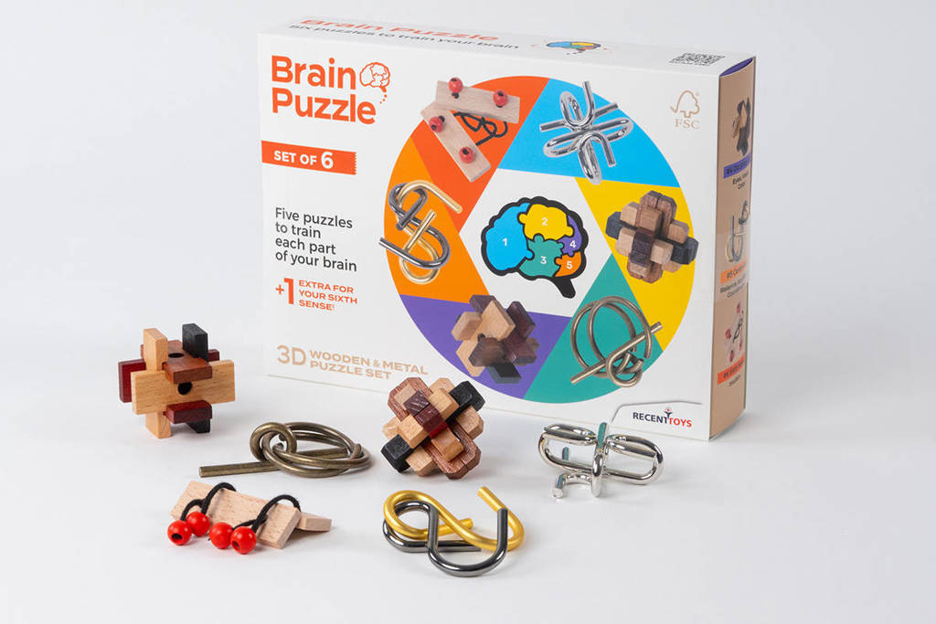Brain Puzzle set of 6