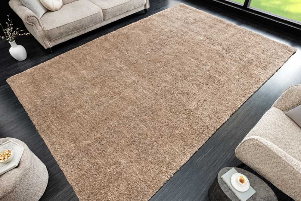 Design Teppich CLOUD 9 230x160cm beige Hochflor Indoor-Teppich