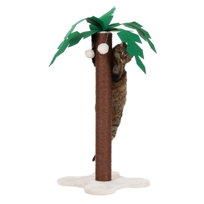 Tronc à griffer Cocotier