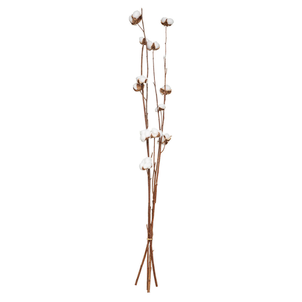 Fleurs séchées naturelles H 100cm