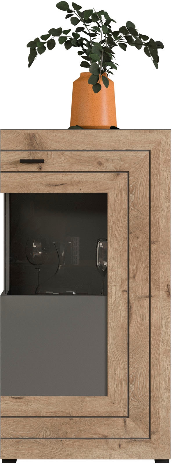 INOSIGN Vitrine »Aalborg, Höhe 118 cm, 1 Glastür, 2 Fächer, 2-farbig, Metallgriffe« Anrichte, Schrank, Kommode, Midischrank, Wohnmöbel, Wohnzimmer