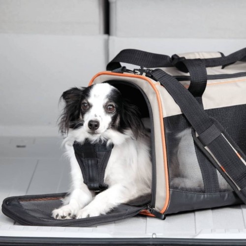 Transportador de animais de estimação multicolorido
