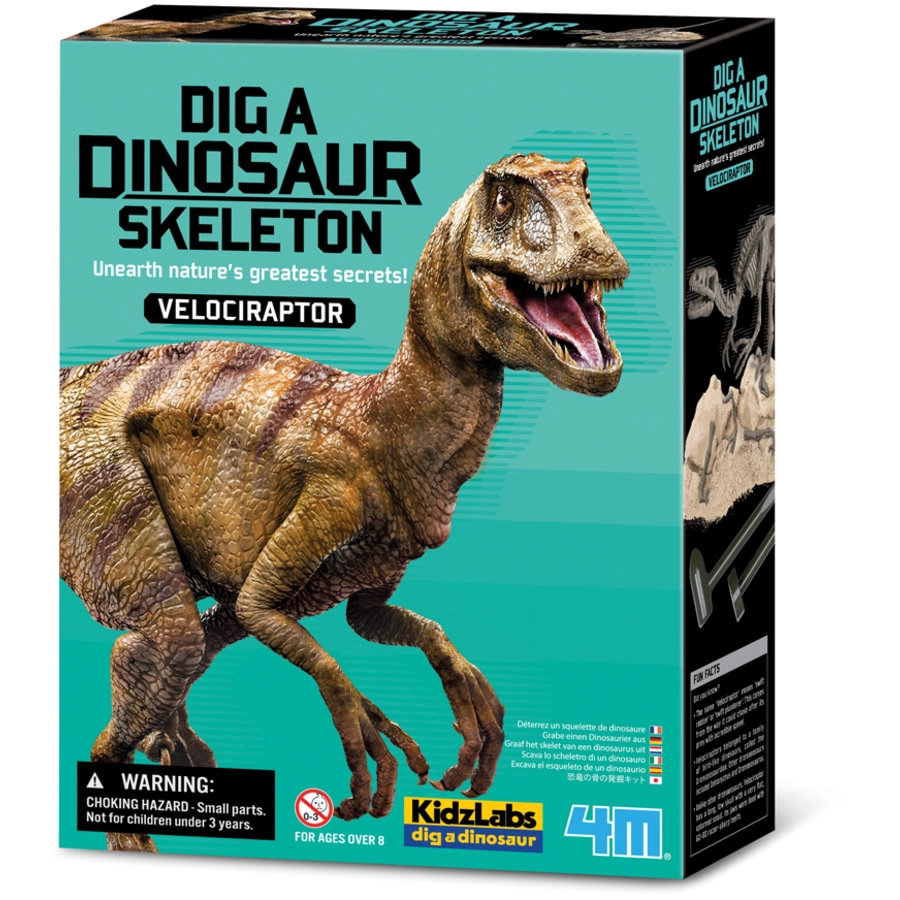 4M KidzLabs - Dinosaurier Ausgrabung Velociraptor Mehrfarbig