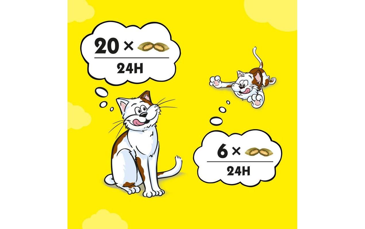 Katzen-Snack mit Thunfisch 180 gKnusprige Kissen mit köstlichem Thunfischkern