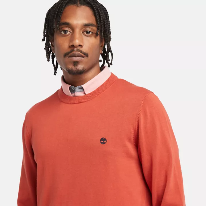Pull à col rond Williams River pour homme en rouge