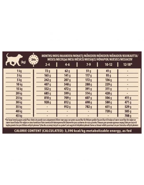 Wellness Core Grain Free Puppy - Hondenvoer