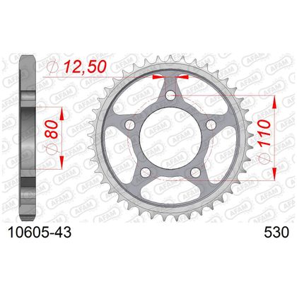 Kit chaine AFAM 530 Type Acier