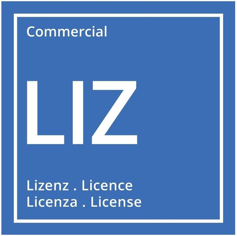 Microsoft MS Liz Visio Professional voor Windows