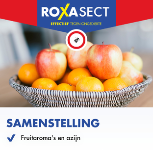 Roxasect Fruitvliegjes 1ST