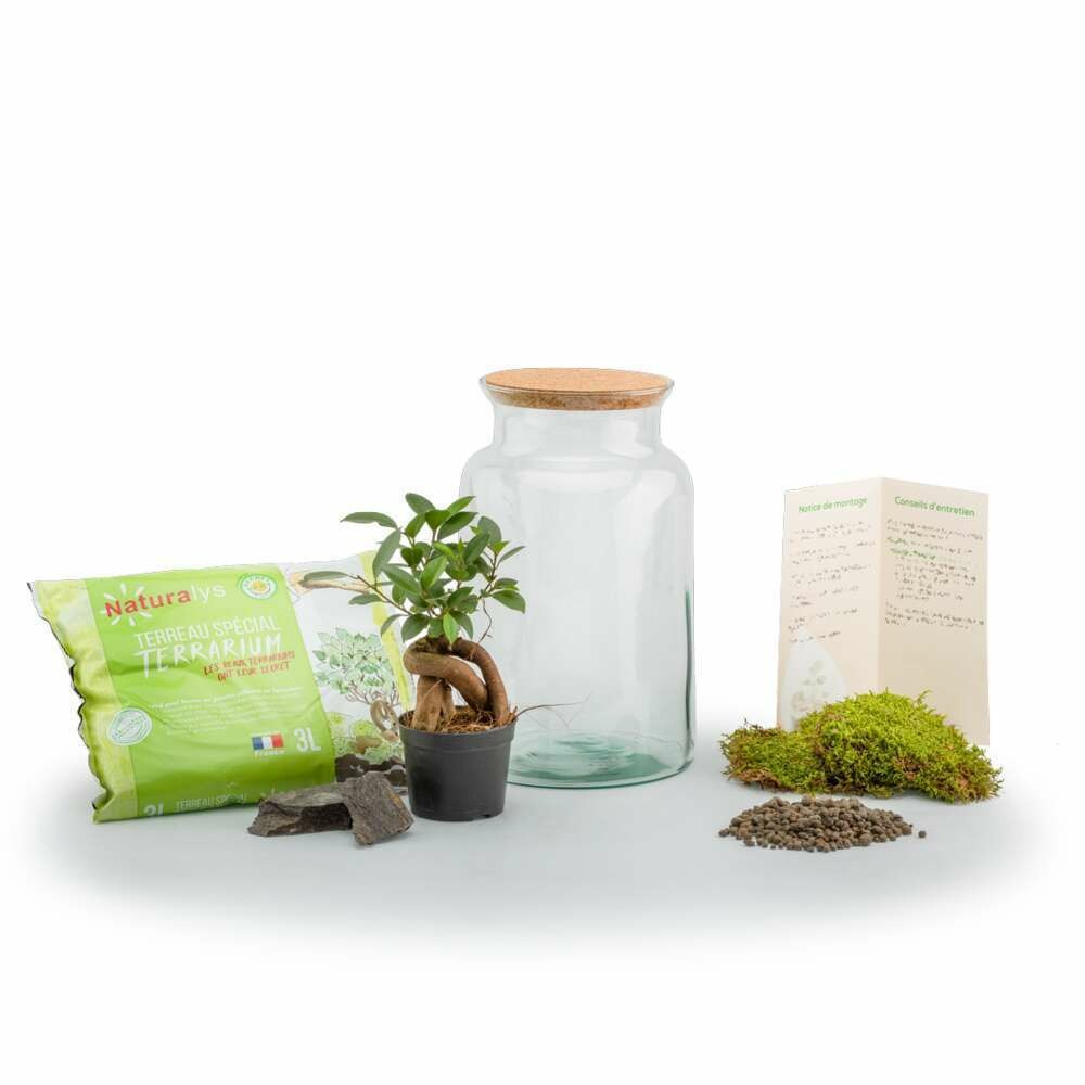 Terra kit - jungle m ginseng