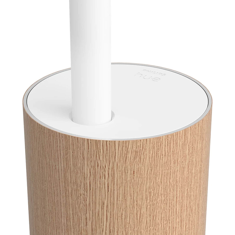 Philips Hue Gradient Signe Lampadaire