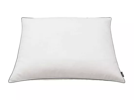 Oreiller 2 pcs Remplissage de duvet 70x60 Blanc