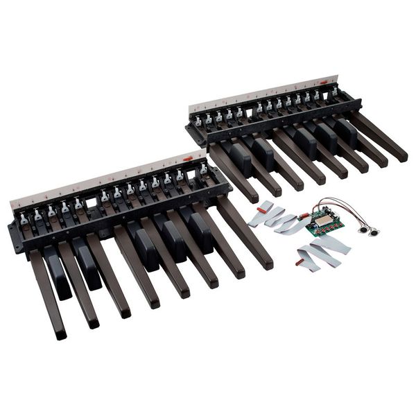 Doepfer MBP25 Electronic with 2 Pedal