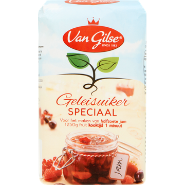 Van Gilse Geleisuiker Speciaal 500 g