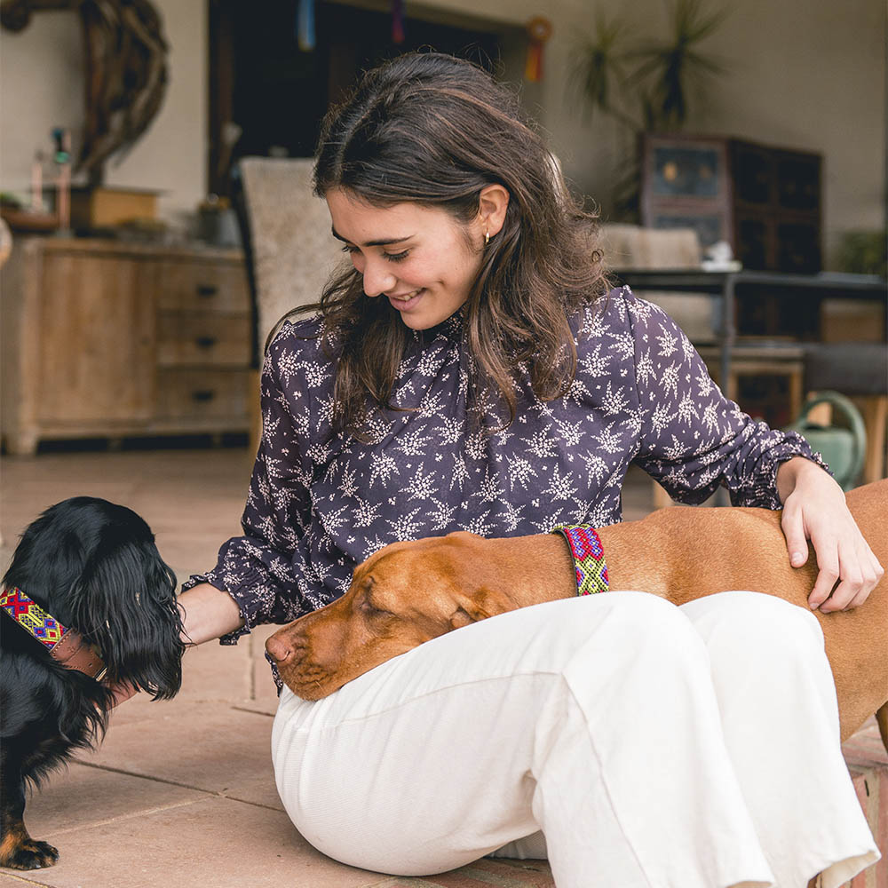 Taco de coleira Barking Gaucho para cães