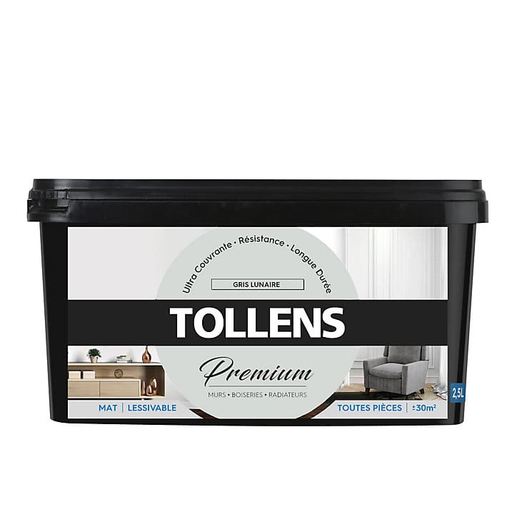 Peinture Tollens premium murs, boiseries et radiateurs gris lunaire mat 2,5L