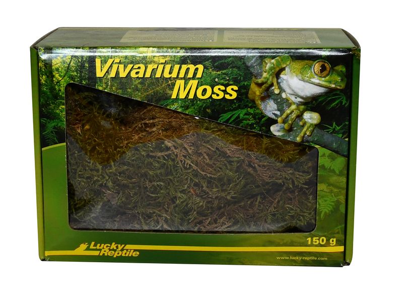 Lucky Reptile Bodensubstrat Vivarium Moss 150 g Terrariumdekoration