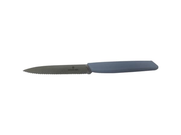 Victorinox 6.9006.10W21, Fruktkniv, 10 cm, Rustfritt stål, 1 stykker