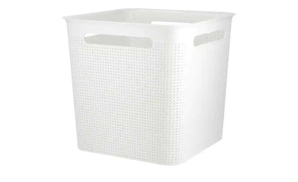 Rotho Aufbewahrungsbox 29 cm
