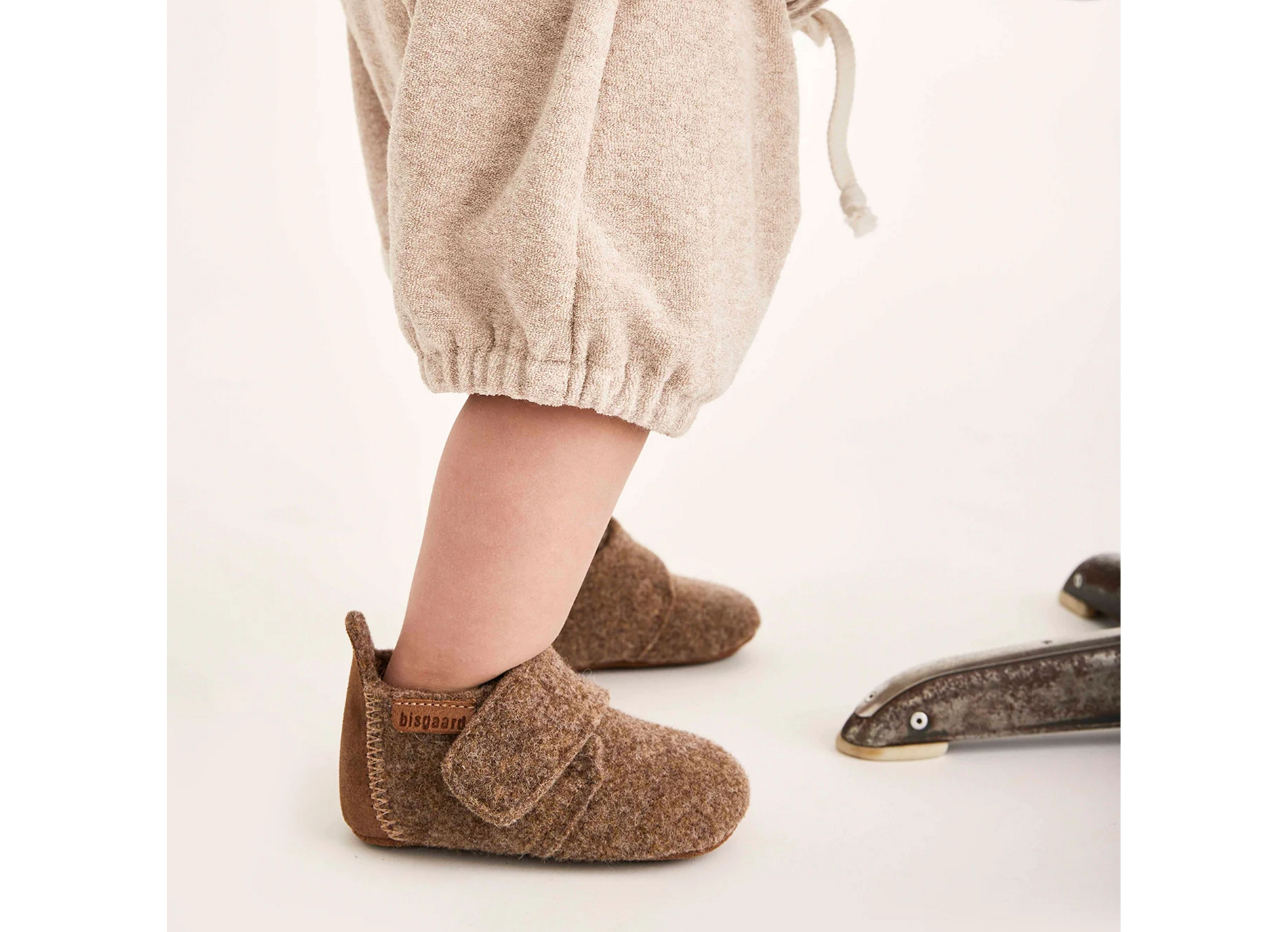 Baby wool camel