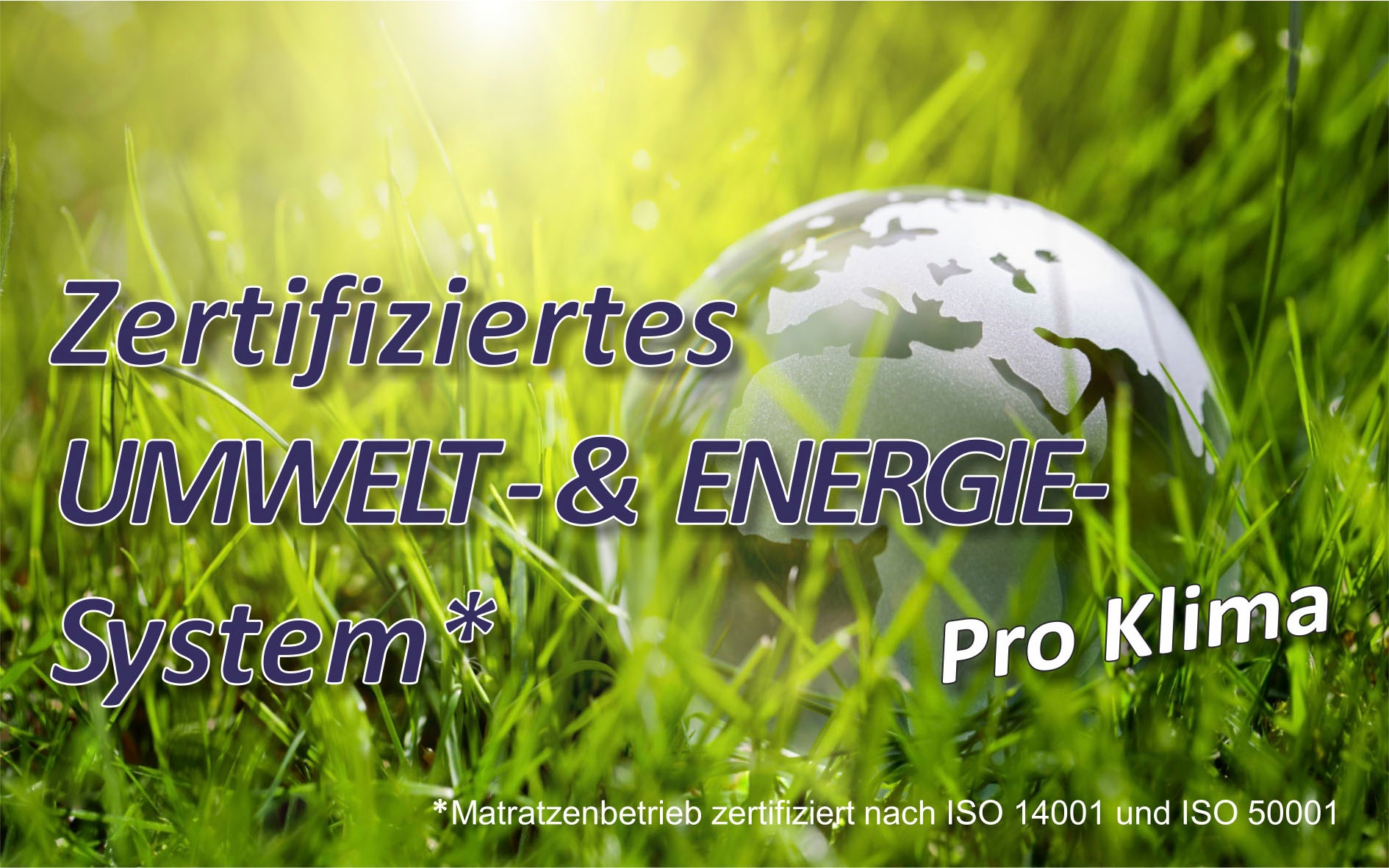 Beco Tellerlattenrost mit Motor »Mediflex Modul Motor« Perfekte Körperanpassung, Druckentlastung und ein ideales Bettklima
